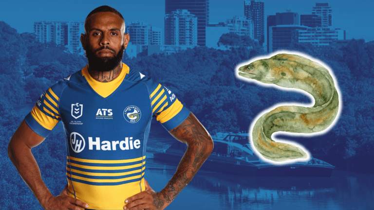 Parramatta 38 Canterbury 20: Class of ’86 inspires Eels boilover